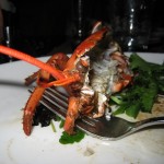 img_5284 img_5284