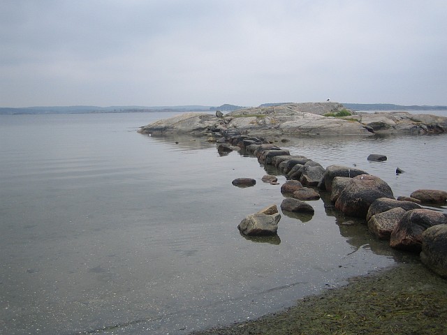 IMAGE_0007