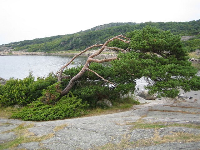 IMAGE_0011