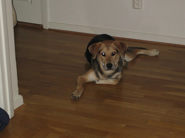 IMAGE_0036