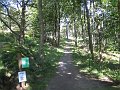  F�rsta h�let i Slottskogen