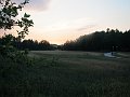 Viksj� evening sun