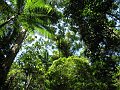 IMG_6849
