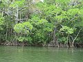 IMG_6923