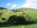  Typical pic of New Zealand - green hills with lots of white dots (=sheep)