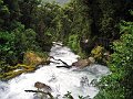 IMG_7727