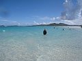  Whitehaven beach. (We had to keep stinger suits on against deadly jellyfish)