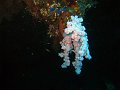  USS Liberty Wreck