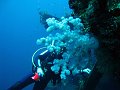  USS Liberty Wreck