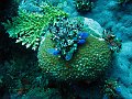  USS Liberty Wreck