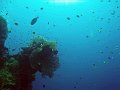  USS Liberty Wreck