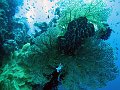  USS Liberty Wreck