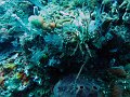  USS Liberty Wreck
