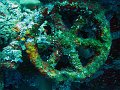  USS Liberty Wreck