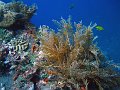  USS Liberty Wreck