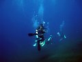  Coral garden, Tulamben