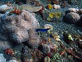 IMG_0161