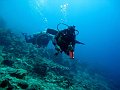 Ped, Nusa Penida