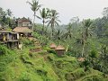  Rice Terraces