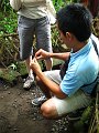  Coffee plantation