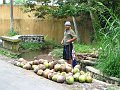  Coconut sale