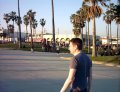  Raz and more palm trees.