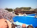  Yepp, another Shamu show pic!