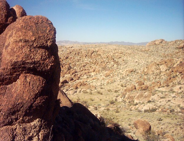 08mar0006