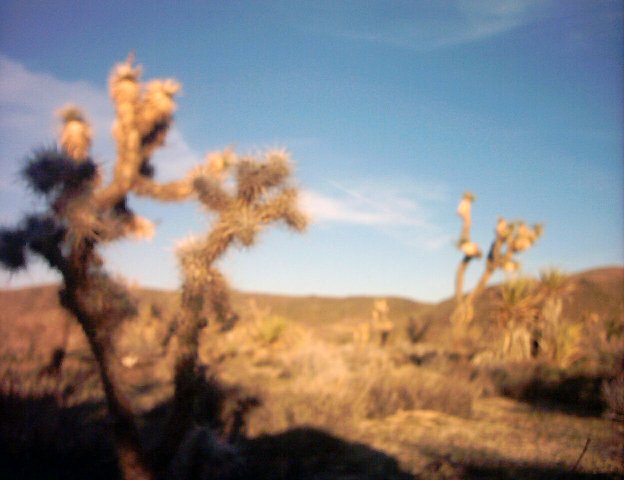 08mar0026
