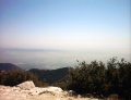  Pasadena from above. Not as much smog as L.A., but still...
