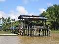 Sabah, Borneo tour (18-20 jan)