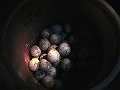  The eggs