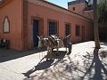  Donkey transport carriage, often seen in the medina!