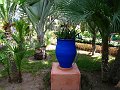 Majorelle Gardens, Marrakech