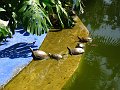 Majorelle Gardens, Marrakech