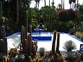  Majorelle Gardens, Marrakech