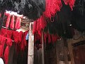 IMG_1189