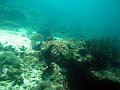  Underwater landscape