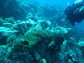  Dive master Maarten at Tokon Laut