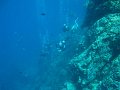  Another group of divers
