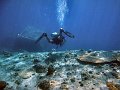  Dive master Maarten
