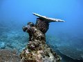  Underwater helicopter landing platform...
