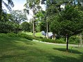  Singapore Botanical Gardens