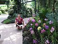  In the Orchid Garden