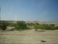  Yet more desert, and plant irrigation