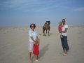  Adelheid, Alida, The Camel, Alma & Asbjrn