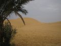  Desert trip