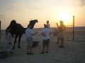  Sunset zoo