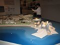  Exhibition of next Abu Dhabi development - Cultural island, with Guggenheim Museum in front