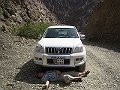  Roads in UAE are very dangerous